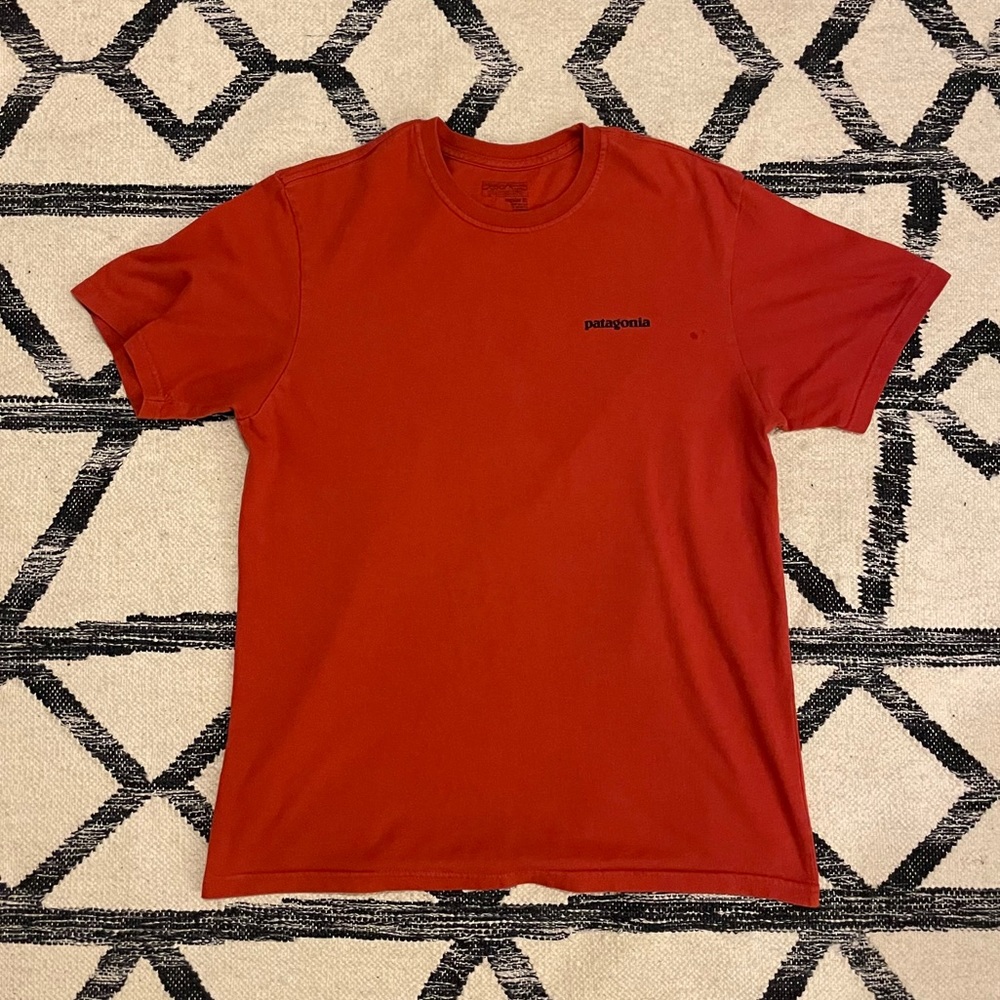 Patagonia Men’s Tee - Medium, Orange